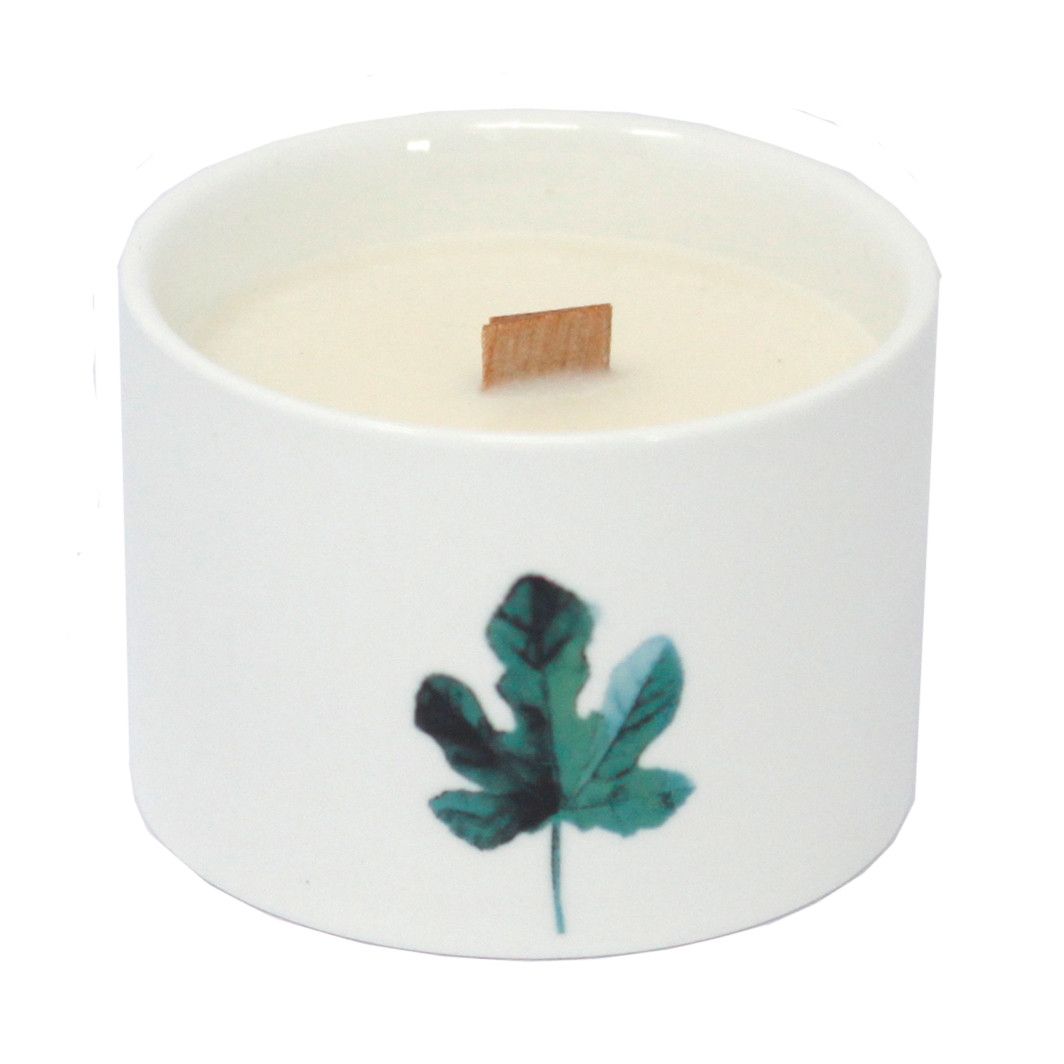 Candele botaniche al miele - Caprifoglio al limone
