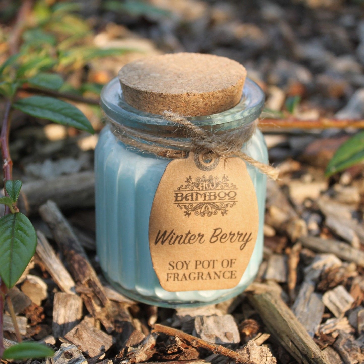 Candele profumate in vasetto di soia Winter Berry
