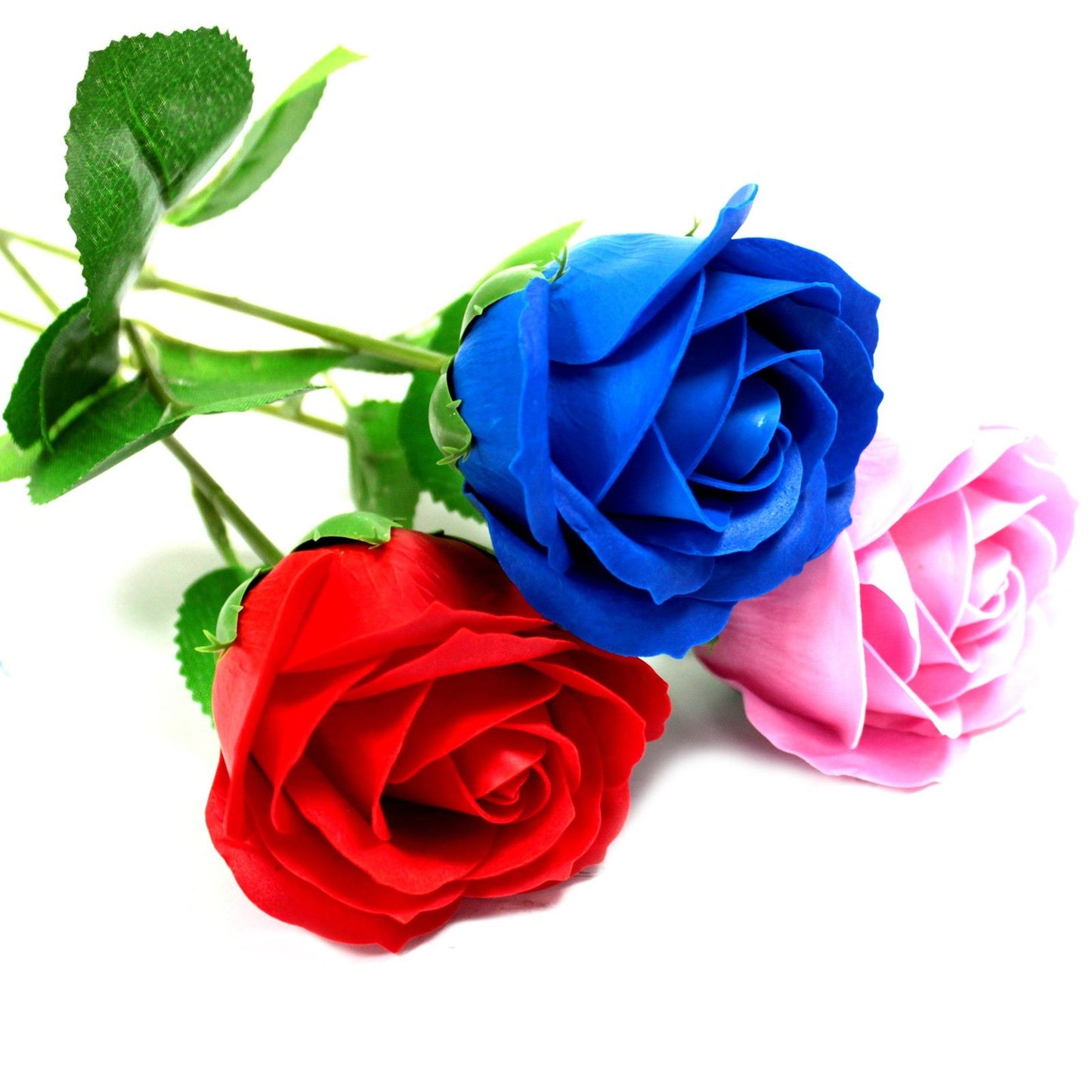 Rosa singola - Rosa rossa
