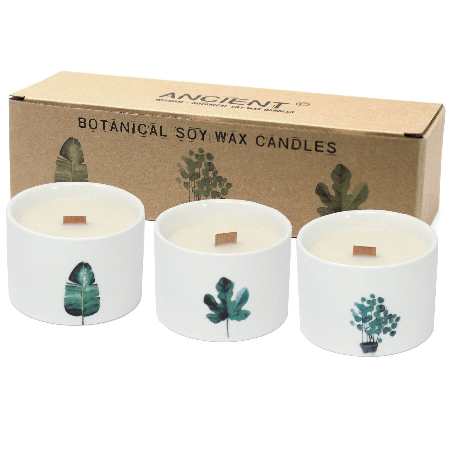 Candele botaniche al miele - Raccolta di gelso