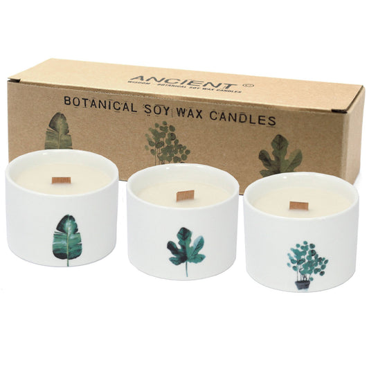 Candele botaniche al miele - Caprifoglio al limone