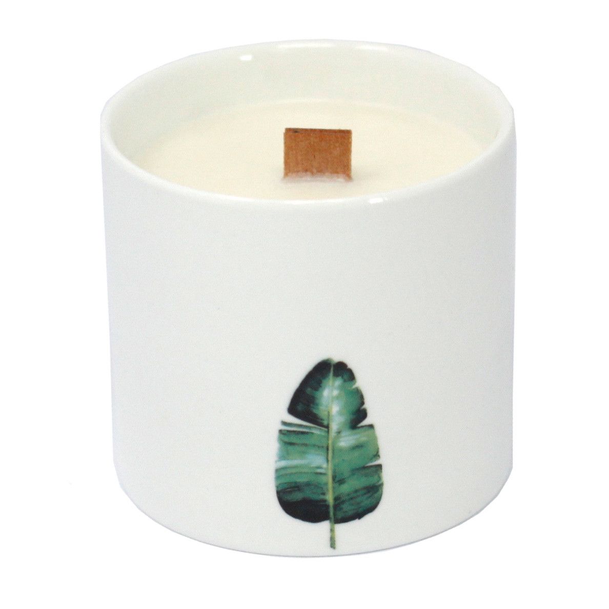 Grandi candele botaniche - Gelsomino selvatico