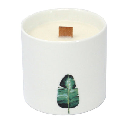 Grandi candele botaniche - Gelsomino selvatico