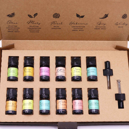 Set di oli essenziali per aromaterapia – Estate