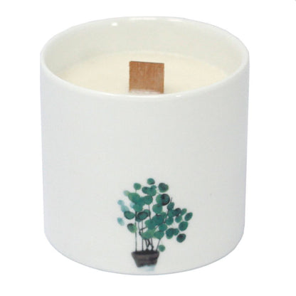 Grandi candele botaniche - Gelsomino selvatico
