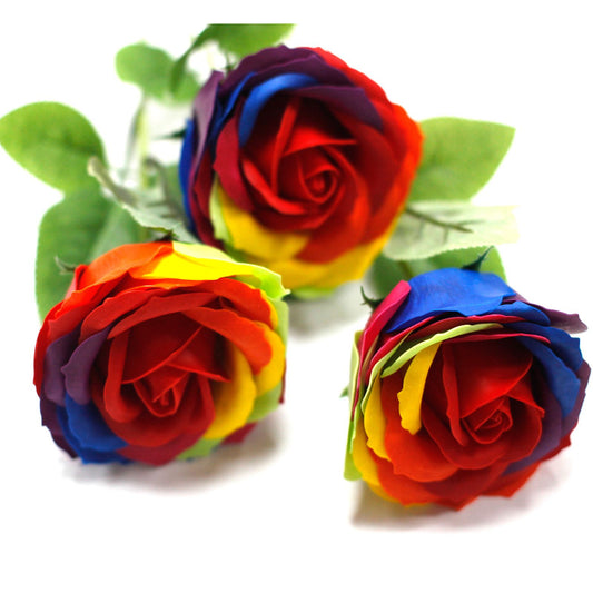 Fiore di sapone di lusso - Arcobaleno