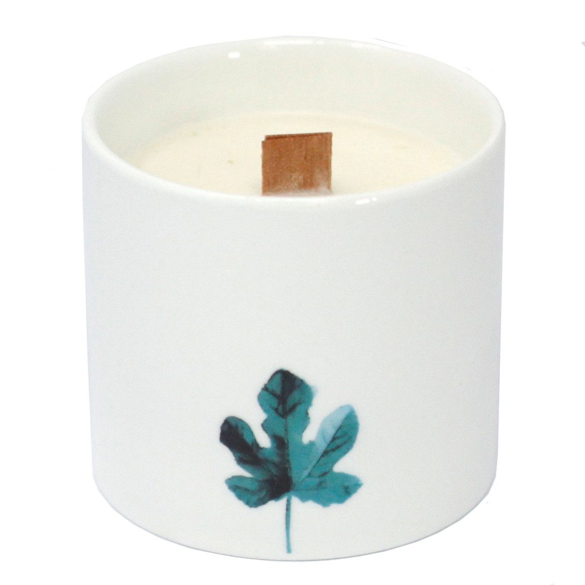 Grandi candele botaniche - Gelsomino selvatico