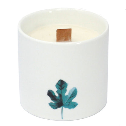 Grandi candele botaniche - Viola palustre