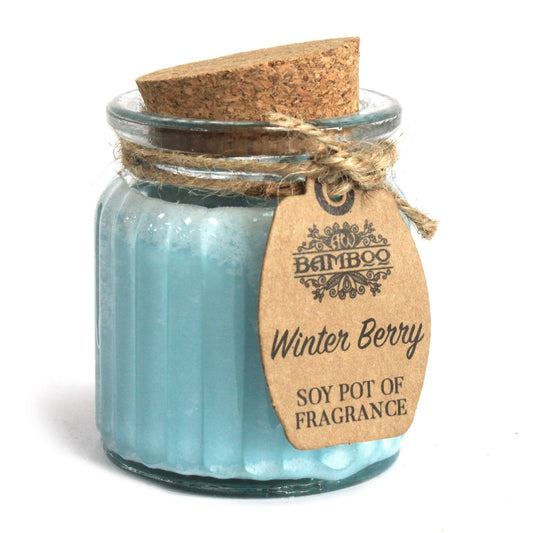 Candele profumate in vasetto di soia Winter Berry