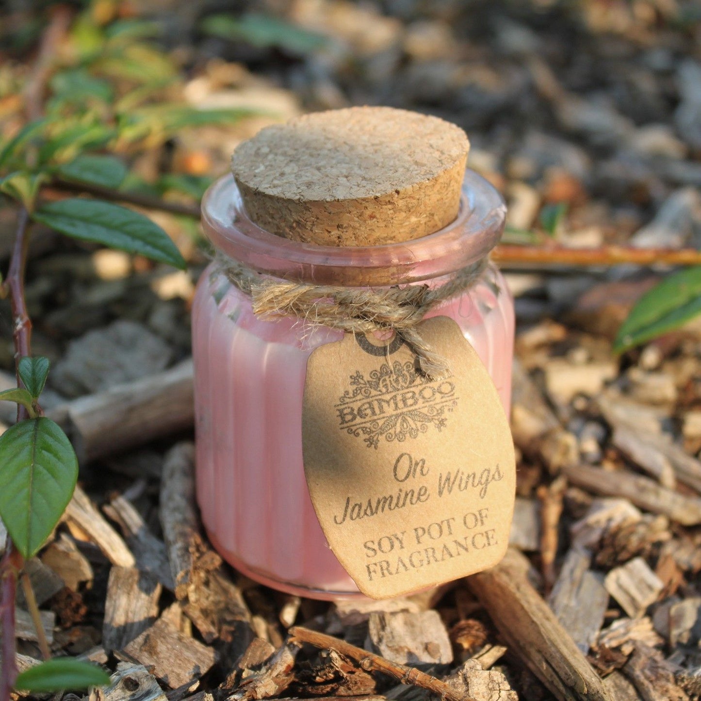 Candela profumata in vaso di soia con ali di gelsomino