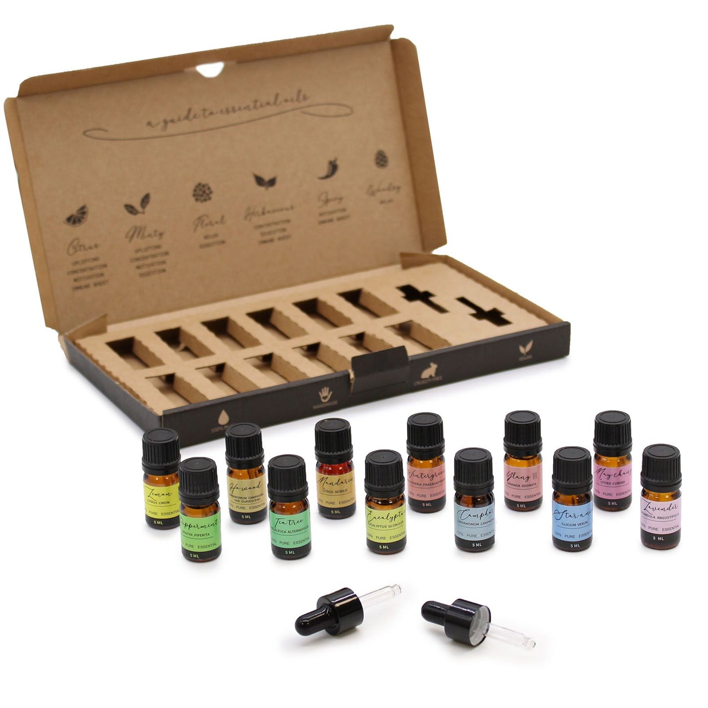 Set di oli essenziali per aromaterapia - Pacchetto iniziale